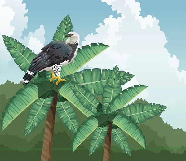 Eagle on palm tropical fauna and flora landscape — 스톡 벡터