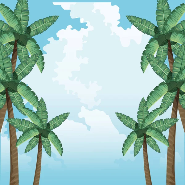 Palms tree foliage botanical tropical background — 스톡 벡터