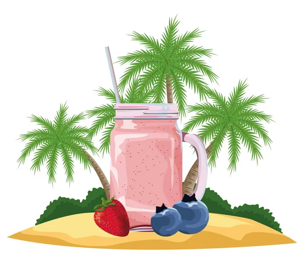 Tropische Früchte und Smoothie-Drink — Stockvektor