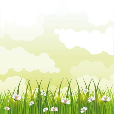 Çiçek manzarası ile Beatiful bahçe