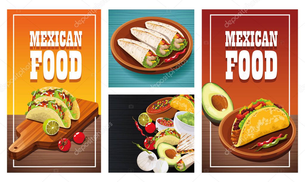 Delicious Mexican Food sets designs