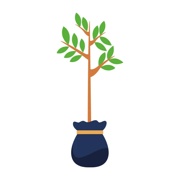 Planta en un icono de olla, diseño colorido — Vector de stock