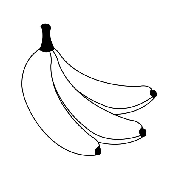 Banana fruits icon, flat design — Stock Vector