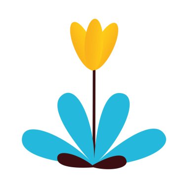 güzel çiçekler ve yaprak bitkisi dekorasyonu