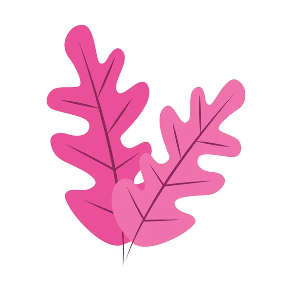 美丽的粉色植物图标，五彩斑斓的设计 — 图库矢量图片