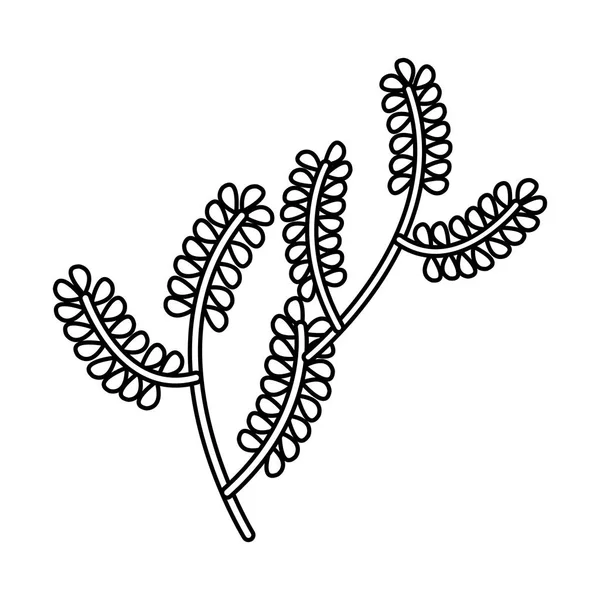Höst blad växter natur ikoner — Stock vektor