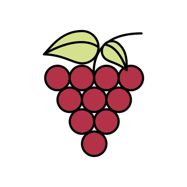 Anggur buah segar ikon terisolasi - Stok Vektor