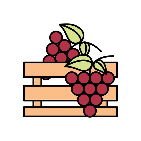 Trauben frisches Obst in Holzkorb — Stockvektor