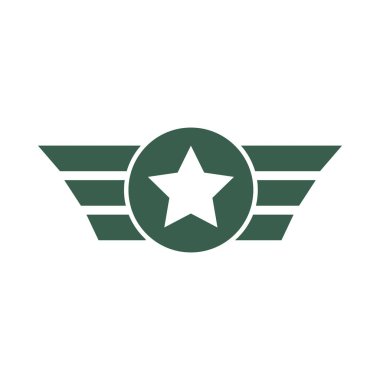 military air force medal with wings