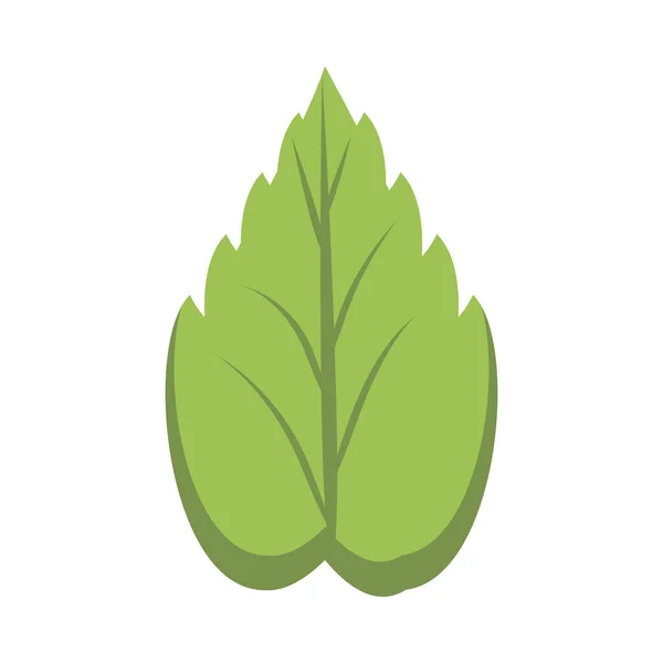 Ecology leaf plant isolated icon — Stock Vector