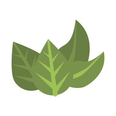 Ekoloji yaprakları izole edilmiş bitki simgesi