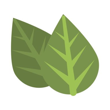 Ekoloji yaprakları izole edilmiş bitki simgesi