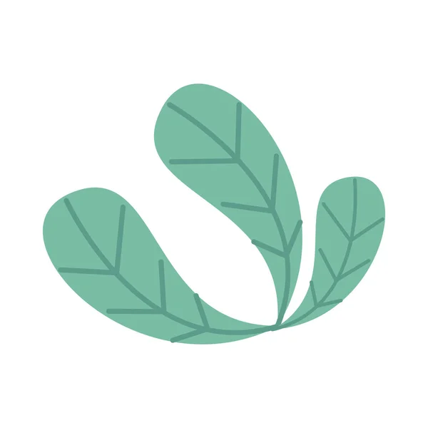 生态叶子植物隔离图标 — 图库矢量图片
