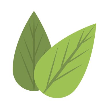 Ekoloji yaprakları izole edilmiş bitki simgesi