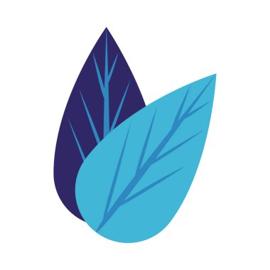 Ekoloji yaprakları izole edilmiş bitki simgesi