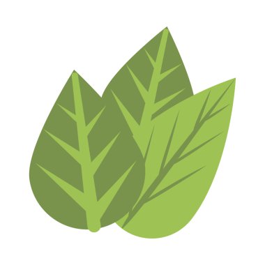 Ekoloji yaprakları izole edilmiş bitki simgesi