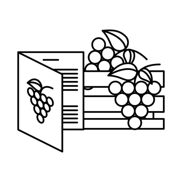 Grapes fresh fruits in wooden basket — 스톡 벡터