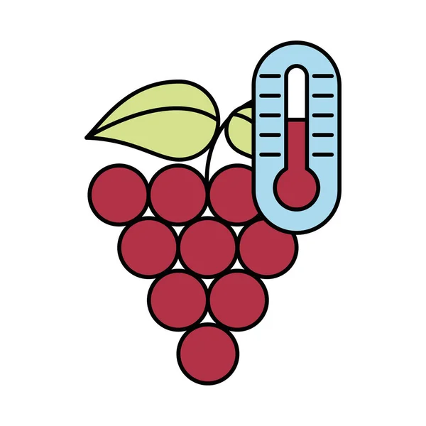 Uvas frutas frescas icono aislado — Vector de stock