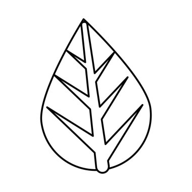 Ekoloji yaprağı bitkisi ikonu izole