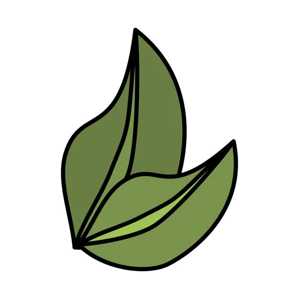 Ecología hojas planta aislada icono — Vector de stock