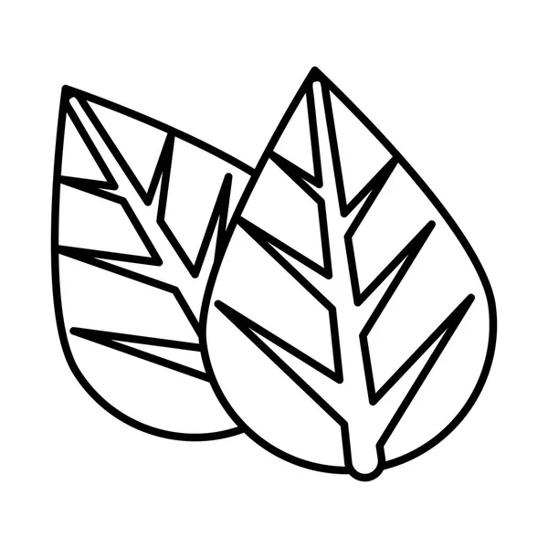 Écologie feuilles plante isolé icône — Image vectorielle