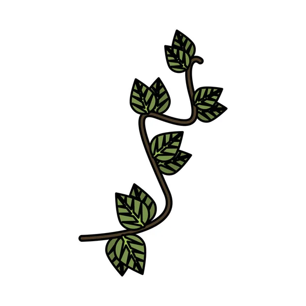 Ekologi gren med blad växt — Stock vektor
