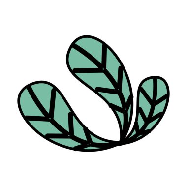 Ekoloji yaprakları izole edilmiş bitki simgesi