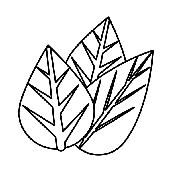 Écologie feuilles plante isolé icône — Image vectorielle