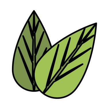 Ekoloji yaprakları izole edilmiş bitki simgesi