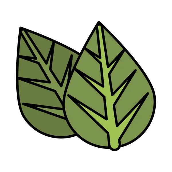 Ecologie frunze plante icoane izolate — Vector de stoc