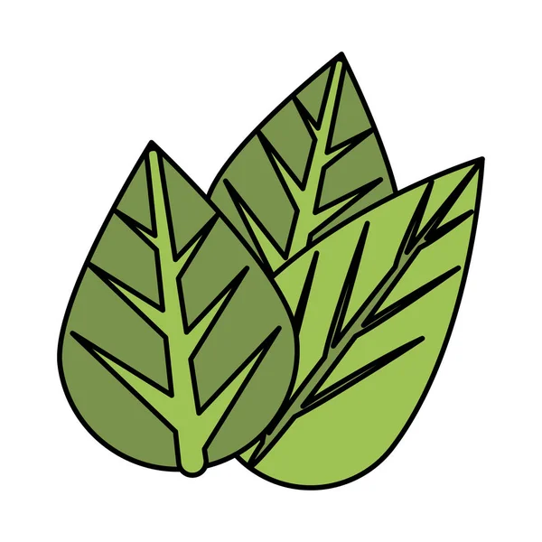 Ökologie blättert Pflanze isoliert Symbol — Stockvektor