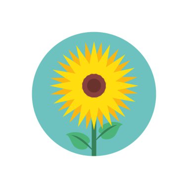Güzel ayçiçeği bahçesi izole edilmiş ikon