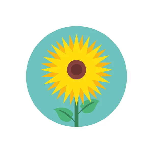 Beautiful sunflower garden isolated icon — Stock Vector