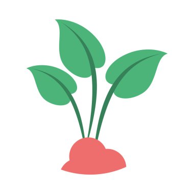 Yapraklar bitki ekolojisi izole ikonu