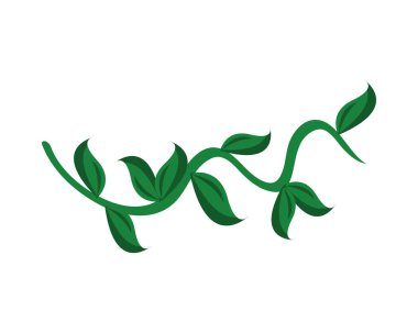 Ekoloji yapraklı bir dal.