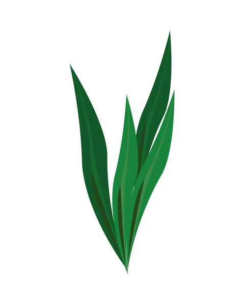 Hierba planta naturaleza aislado icono — Vector de stock