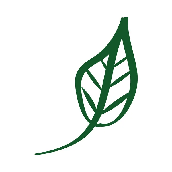 Ecología planta hoja aislado icono — Vector de stock