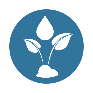 Su damlası ekolojisi olan bitki