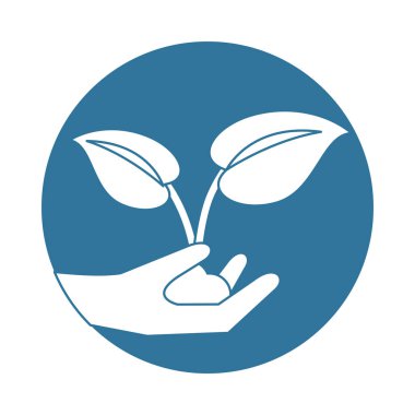 hands lifting leafs plant ecology