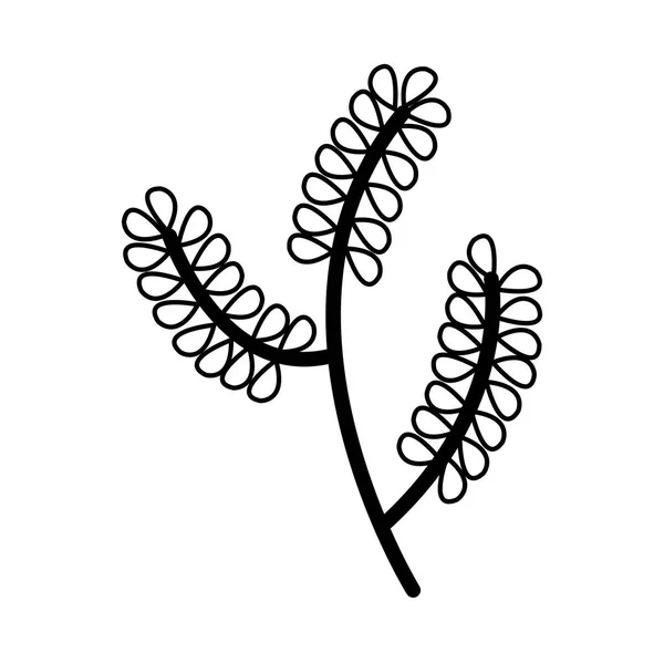 Zweig mit ökologischer Blattpflanze — Stockvektor