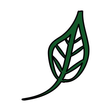 Ekoloji yaprağı bitkisi ikonu izole