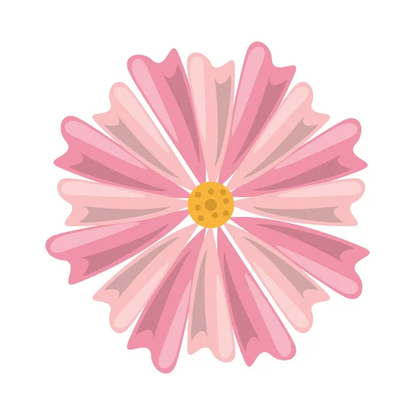 Bunga indah alam ikon terisolasi - Stok Vektor