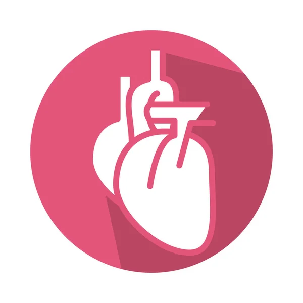 Coração humano órgão bloco estilo ícone — Vetor de Stock