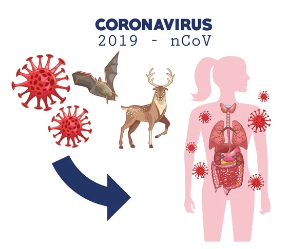 Coronavirus infografía con figura femenina y animales — Archivo Imágenes Vectoriales