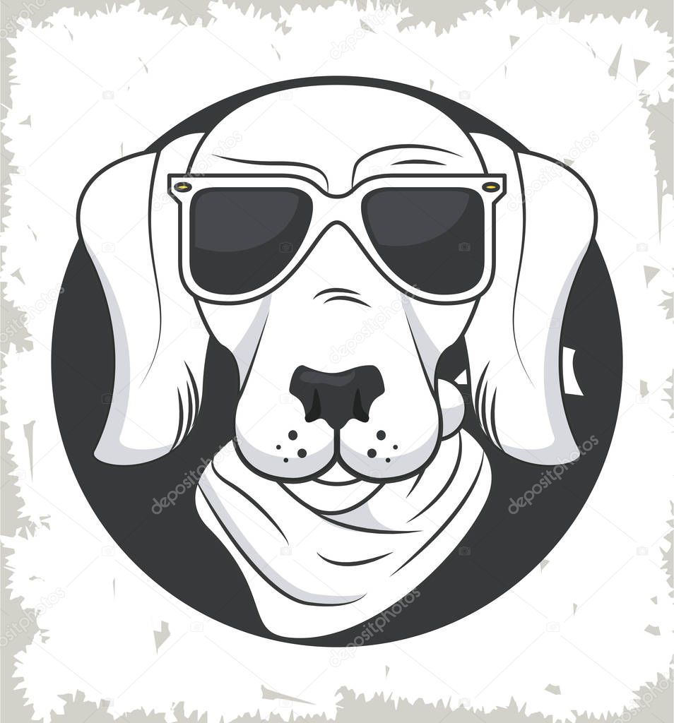 funny dog with sunglasses cool style