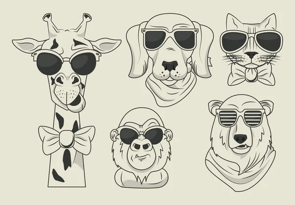 Animaux drôles avec des lunettes de soleil style cool — Image vectorielle