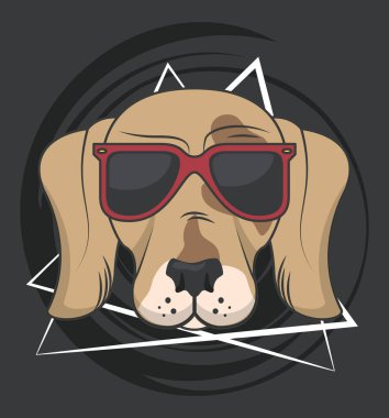 Güneş gözlüklü komik köpek.