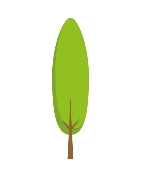 Árbol planta naturaleza aislado icono — Archivo Imágenes Vectoriales