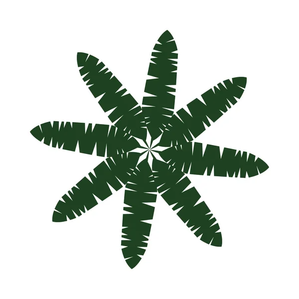 Folioles palmier feuillage tropical cadre circulaire — Image vectorielle