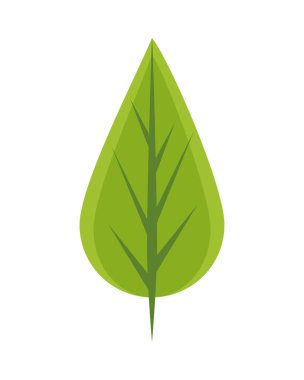 Yaprak bitkisi doğa izole simgesi